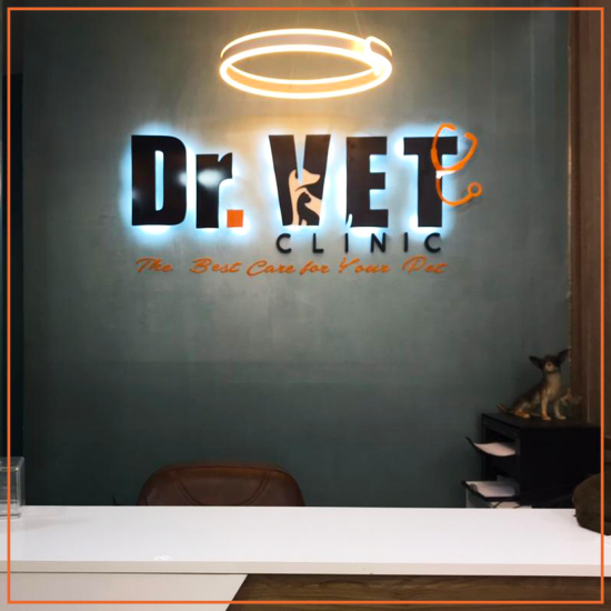 Picture of Lighted letter